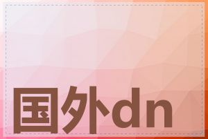 国外dns推荐哪些