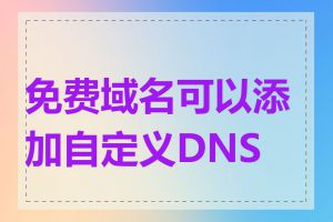 免费域名可以添加自定义DNS吗