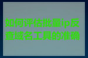 如何评估批量ip反查域名工具的准确性