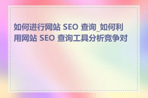 如何进行网站 SEO 查询_如何利用网站 SEO 查询工具分析竞争对手