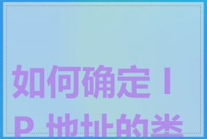 如何确定 IP 地址的类型