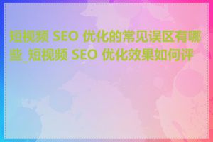 短视频 SEO 优化的常见误区有哪些_短视频 SEO 优化效果如何评估