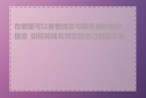 在哪里可以查看域名与服务器的绑定信息_如何将域名绑定到自己的服务器上