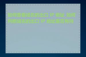 如何查看域名的出口 IP 地址_如何判断域名的出口 IP 地址是否有问题