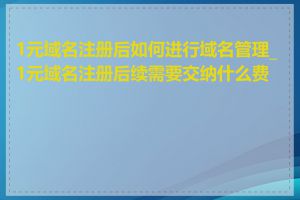 1元域名注册后如何进行域名管理_1元域名注册后续需要交纳什么费用