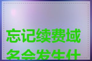 忘记续费域名会发生什么