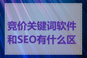 竞价关键词软件和SEO有什么区别