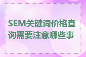 SEM关键词价格查询需要注意哪些事项