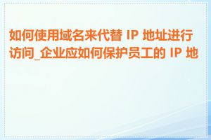如何使用域名来代替 IP 地址进行访问_企业应如何保护员工的 IP 地址