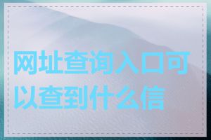 网址查询入口可以查到什么信息