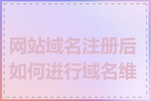 网站域名注册后如何进行域名维护