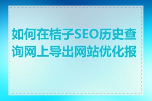 如何在桔子SEO历史查询网上导出网站优化报告