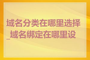 域名分类在哪里选择_域名绑定在哪里设置