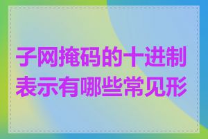 子网掩码的十进制表示有哪些常见形式