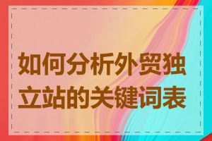 如何分析外贸独立站的关键词表现