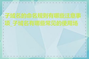 子域名的命名规则有哪些注意事项_子域名有哪些常见的使用场景