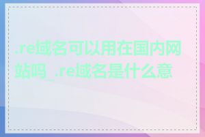 .re域名可以用在国内网站吗_.re域名是什么意思