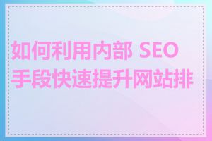 如何利用内部 SEO 手段快速提升网站排名