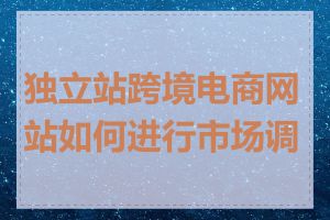 独立站跨境电商网站如何进行市场调研