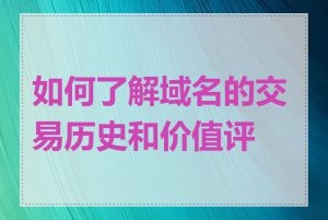 如何了解域名的交易历史和价值评估
