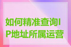 如何精准查询IP地址所属运营商