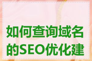 如何查询域名的SEO优化建议