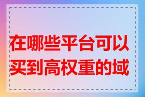 在哪些平台可以买到高权重的域名