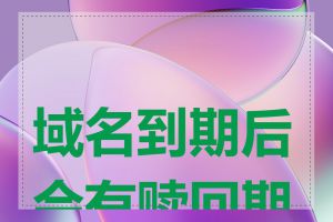 域名到期后会有赎回期吗