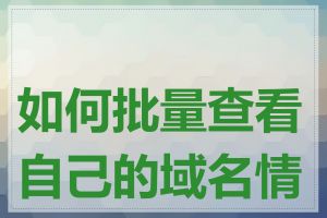 如何批量查看自己的域名情况