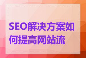 SEO解决方案如何提高网站流量