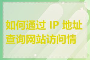 如何通过 IP 地址查询网站访问情况