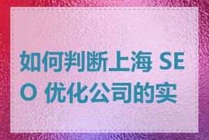 如何判断上海 SEO 优化公司的实力