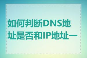 如何判断DNS地址是否和IP地址一致