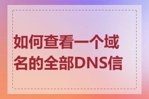 如何查看一个域名的全部DNS信息