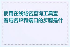 使用在线域名查询工具查看域名IP和端口的步骤是什么