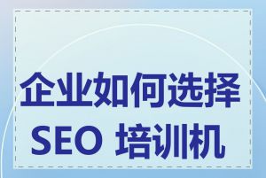 企业如何选择 SEO 培训机构