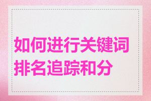 如何进行关键词排名追踪和分析