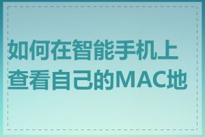 如何在智能手机上查看自己的MAC地址