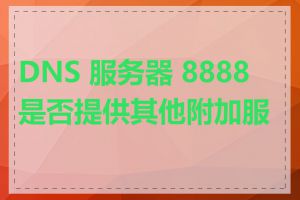 DNS 服务器 8888 是否提供其他附加服务