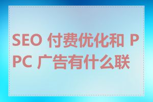 SEO 付费优化和 PPC 广告有什么联系