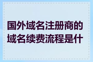 国外域名注册商的域名续费流程是什么
