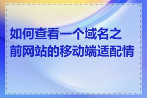 如何查看一个域名之前网站的移动端适配情况