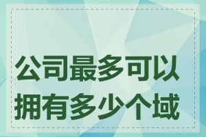 公司最多可以拥有多少个域名