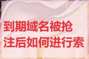 到期域名被抢注后如何进行索回