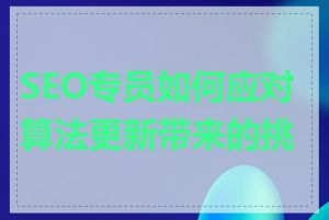 SEO专员如何应对算法更新带来的挑战