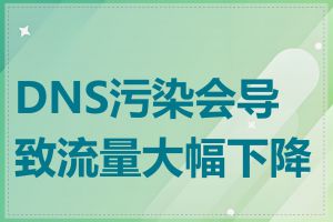 DNS污染会导致流量大幅下降吗