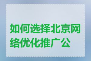 如何选择北京网络优化推广公司