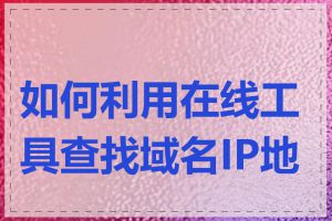 如何利用在线工具查找域名IP地址