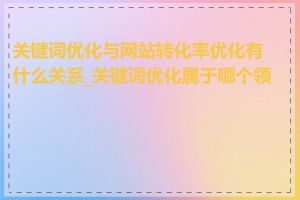 关键词优化与网站转化率优化有什么关系_关键词优化属于哪个领域