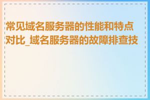 常见域名服务器的性能和特点对比_域名服务器的故障排查技巧